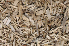 biomass boilers Threapwood